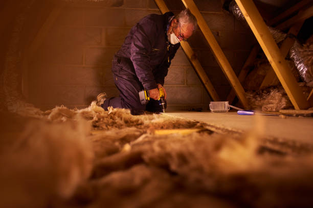 Best Cellulose Insulation in Hoxie, KS